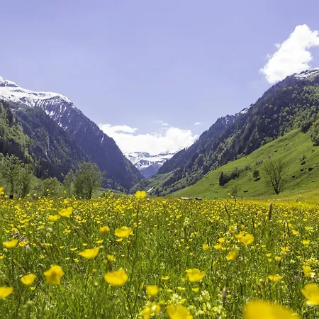 Hochalmbahnen 20w2, Haselnuss, Nahe Gondel Rauris