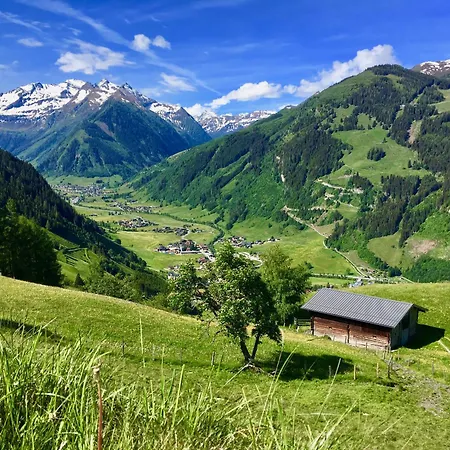 Hochalmbahnen 20w2, Haselnuss, Nahe Gondel * Rauris